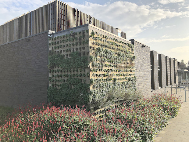Web.D0025916L0012034P001_BT0623BouwkostenBIA1 | BouwTotaal Groene Wand Blokken