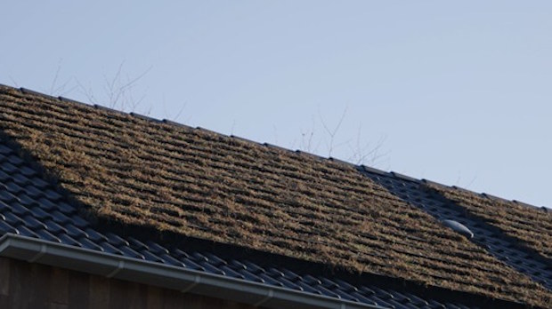 Hellend dak met gedeeltelijke begroeiing als voorbeeld van groendak dakpan