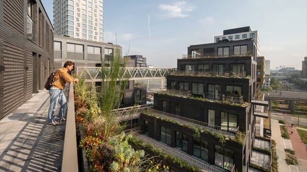 Kavel O, Amsterdam. Foto: Aiste Rakauskaite
