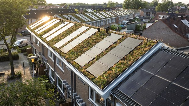 Prefab ROEF-daksysteem met zonnepanelen en groen dak op rijwoningen